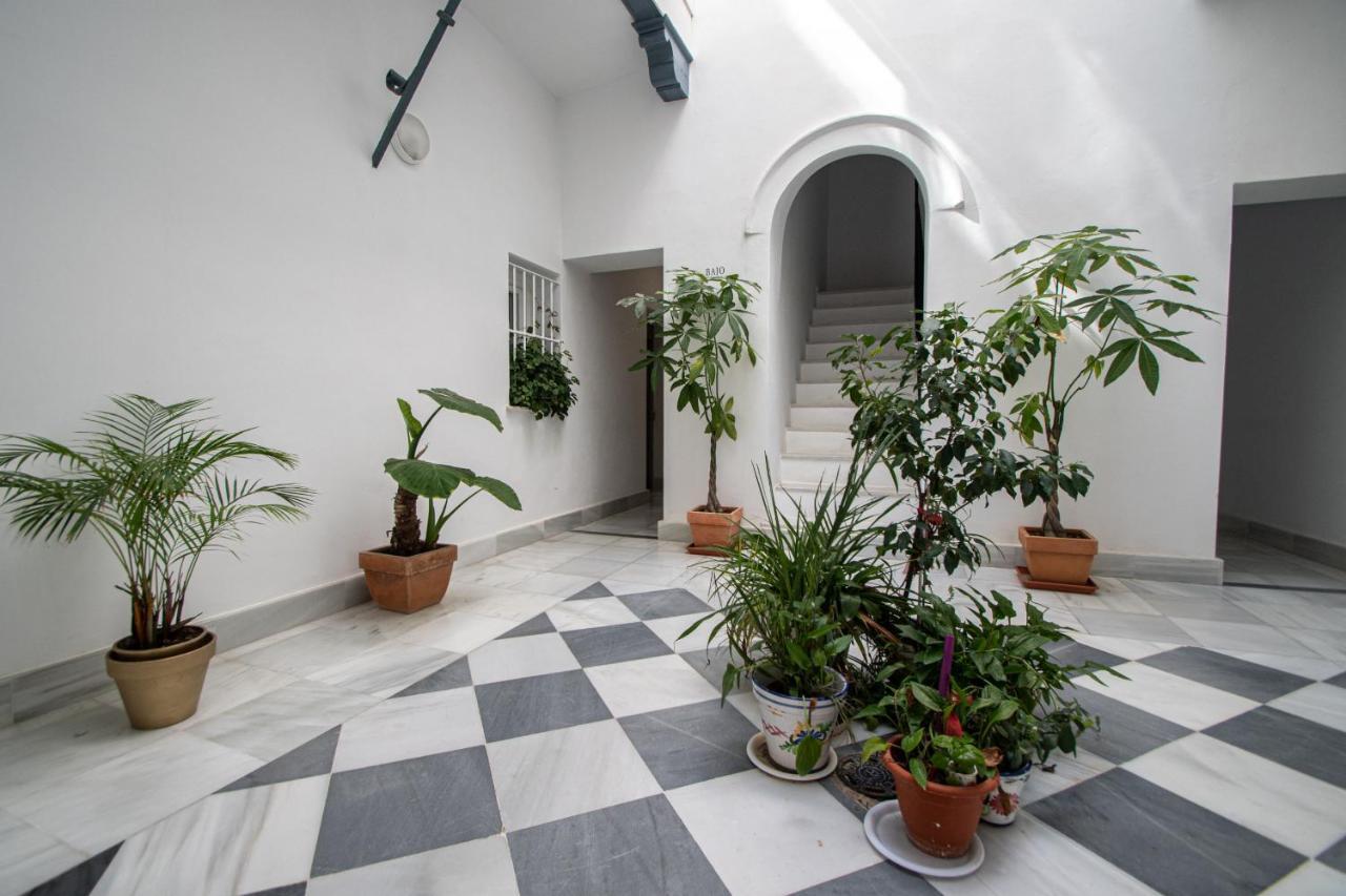 Apartamento Los Claveles - La Caleta Daire Cádiz Dış mekan fotoğraf